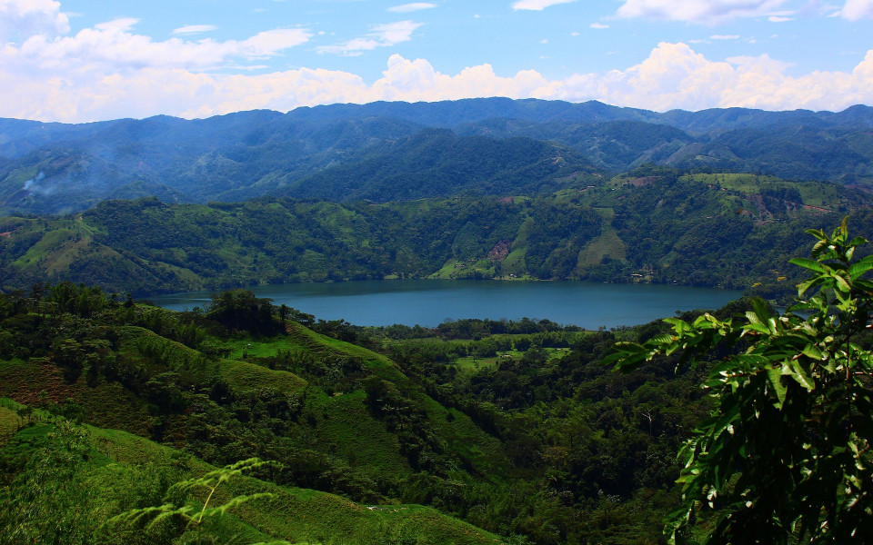 Mangrovenw&auml;lder 