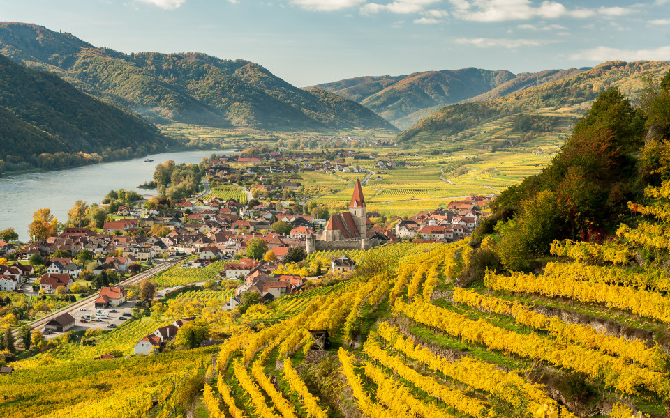 Weissenkirchen in Wachau (Österreich) im Herbst mit farbigen Blättern und Weinbergen